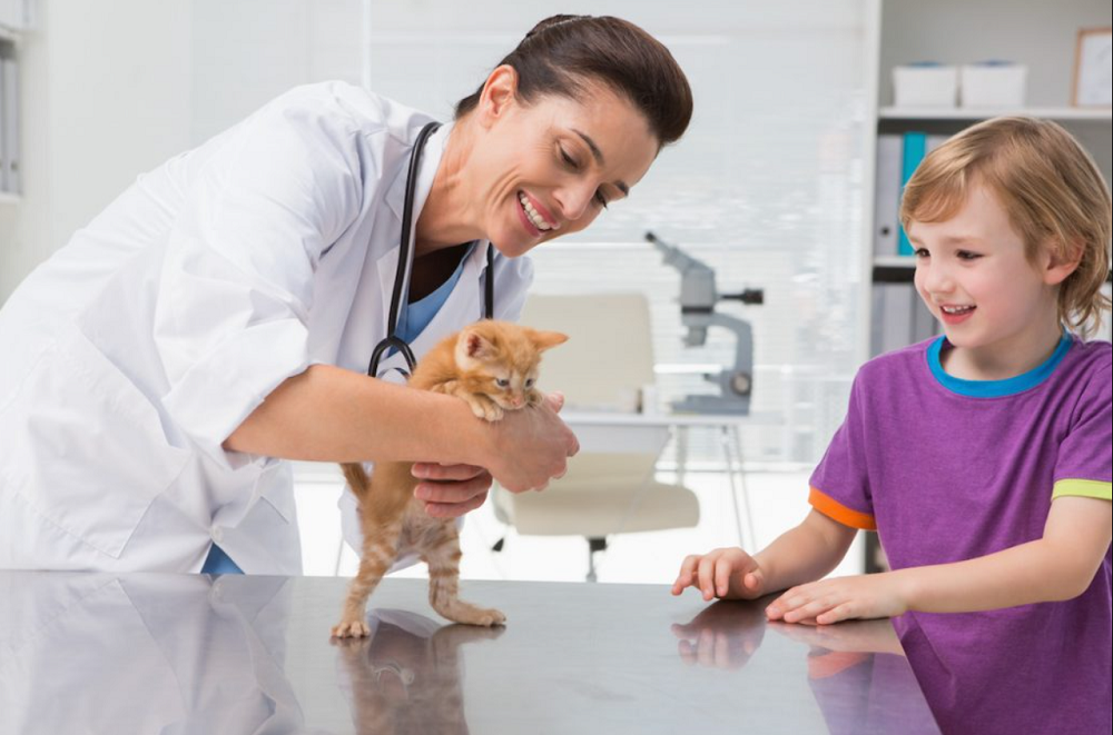 How To Find The Right Vet For Your Pet