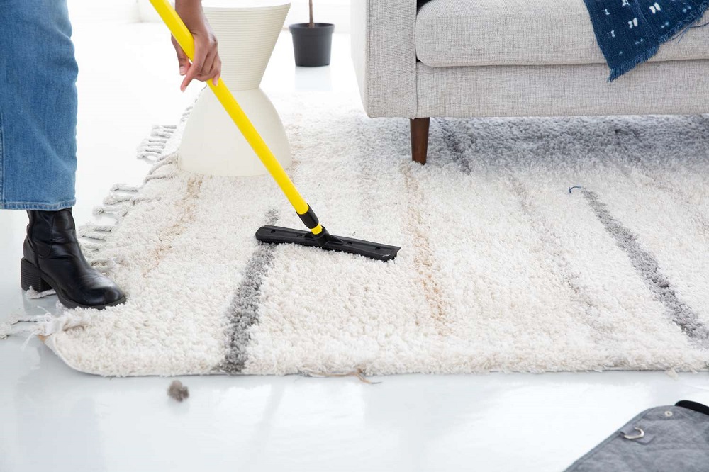 How To Remove Pet Hair From Carpet – 11 Tips & Tricks